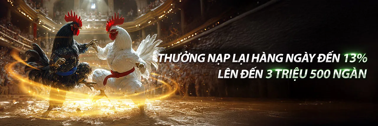 Sân đấu đá gà trực tuyến 777loc